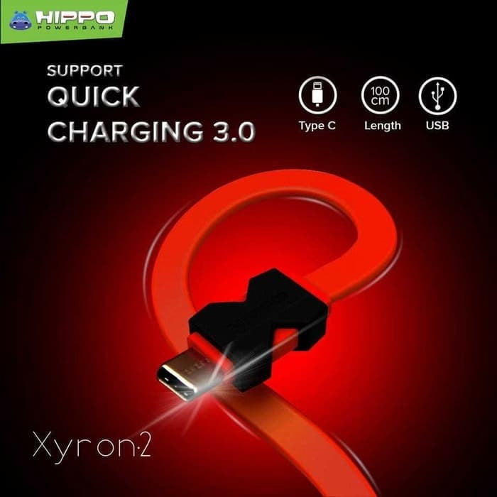 HIPPO XYRON 2 Kabel Type C 100 cm 3A Quick Charging 30 Pcs - Daffina Store